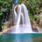 ヒメ日記 2026/01/16 14:40 投稿 華咲 桜 30代40代50代と遊ぶなら博多人妻専科24時