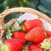 ヒメ日記 2026/02/09 23:00 投稿 華咲 桜 30代40代50代と遊ぶなら博多人妻専科24時