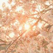 ヒメ日記 2026/04/07 00:49 投稿 華咲 桜 30代40代50代と遊ぶなら博多人妻専科24時