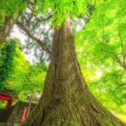 ヒメ日記 2026/04/10 00:44 投稿 華咲 桜 30代40代50代と遊ぶなら博多人妻専科24時