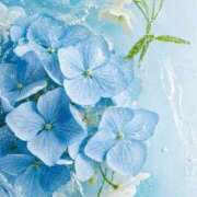 華咲 桜 昨日ありがとうございました 30代40代50代と遊ぶなら博多人妻専科24時