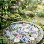 華咲 桜 昨日ありがとうございました 30代40代50代と遊ぶなら博多人妻専科24時