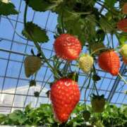 ヒメ日記 2025/02/08 01:29 投稿 ことか 奥鉄オクテツ神奈川店（デリヘル市場グループ）