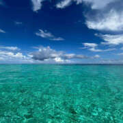 ヒメ日記 2025/09/08 00:12 投稿 ことか 奥鉄オクテツ神奈川店（デリヘル市場グループ）