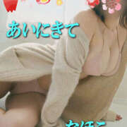 ヒメ日記 2025/04/10 17:38 投稿 なほこ 熟女の薫り