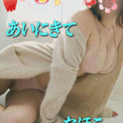 ヒメ日記 2025/04/12 08:42 投稿 なほこ 熟女の薫り