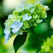 ヒメ日記 2025/06/25 04:12 投稿 なほこ 熟女の薫り