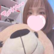 ヒメ日記 2025/03/20 19:40 投稿 まり【高山出発】 Cat's高山店