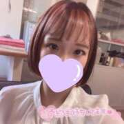 ヒメ日記 2025/04/24 13:20 投稿 まり【高山出発】 Cat's高山店