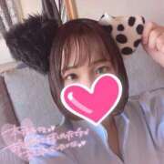 ヒメ日記 2025/04/24 23:00 投稿 まり【高山出発】 Cat's高山店