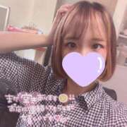 ヒメ日記 2025/05/16 13:01 投稿 まり【高山出発】 Cat's高山店