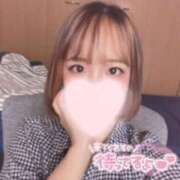 ヒメ日記 2025/05/28 13:10 投稿 まり【高山出発】 Cat's高山店