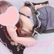 ヒメ日記 2025/05/29 12:10 投稿 まり【高山出発】 Cat's高山店