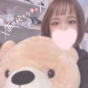 ヒメ日記 2025/05/31 05:30 投稿 まり【高山出発】 Cat's高山店