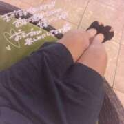 ヒメ日記 2025/07/24 11:39 投稿 まり【高山出発】 Cat's高山店