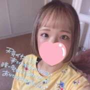 ヒメ日記 2025/09/12 11:32 投稿 まり【高山出発】 Cat's高山店