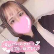 ヒメ日記 2025/11/11 11:20 投稿 まり【高山出発】 Cat's高山店