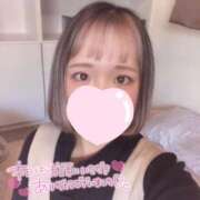 ヒメ日記 2025/11/11 22:59 投稿 まり【高山出発】 Cat's高山店