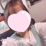 ヒメ日記 2026/03/02 12:09 投稿 まり【高山出発】 高山キャッツ