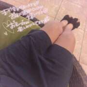 ヒメ日記 2026/04/08 12:06 投稿 まり【高山出発】 高山キャッツ