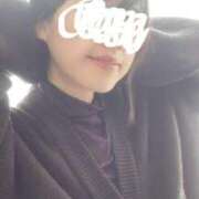 ヒヨリ しゅみ バニーコレクション秋田店