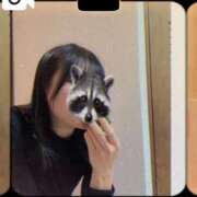 ヒメ日記 2026/01/26 06:33 投稿 ヒヨリ バニーコレクション秋田店