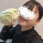 ヒヨリ あさです୧⍢⃝୨⚑ バニーコレクション秋田店