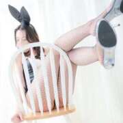 ヒメ日記 2025/04/24 22:17 投稿 あすな いざ候 本館