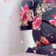 ヒメ日記 2025/05/11 22:07 投稿 あすな いざ候 本館