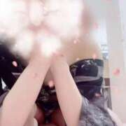 ヒメ日記 2025/05/14 09:37 投稿 あすな いざ候 本館