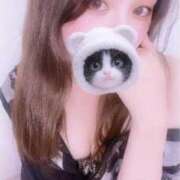 ヒメ日記 2025/08/11 22:27 投稿 あすな いざ候 本館