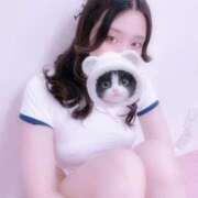 ヒメ日記 2025/09/03 07:47 投稿 あすな いざ候 本館