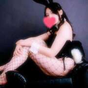 ヒメ日記 2025/11/14 12:07 投稿 あすな いざ候 本館