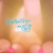 ヒメ日記 2025/11/21 00:47 投稿 あすな いざ候 本館