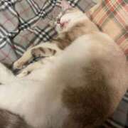 ヒメ日記 2026/02/25 14:16 投稿 マリア 茨城神栖ちゃんこ