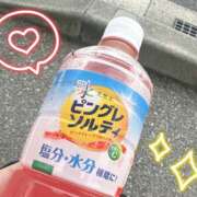 ヒメ日記 2025/06/06 13:19 投稿 りんか ちゃんこ大阪伊丹空港豊中店