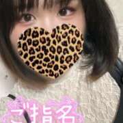 ヒメ日記 2025/10/15 00:30 投稿 りんか ちゃんこ大阪伊丹空港豊中店