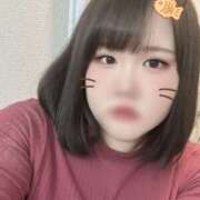 ヒメ日記 2026/04/19 14:51 投稿 りんか ちゃんこ大阪伊丹空港豊中店