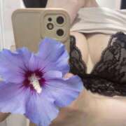 ヒメ日記 2025/05/27 11:30 投稿 月雪 さき やみつきエステ 渋谷店