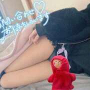 ヒメ日記 2025/03/31 11:51 投稿 ちゆ 奥様特急長岡店