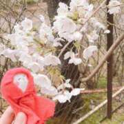 ヒメ日記 2025/04/13 16:21 投稿 ちゆ 奥様特急長岡店