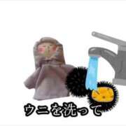 ヒメ日記 2025/04/27 23:11 投稿 ちゆ 奥様特急長岡店