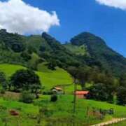 ヒメ日記 2025/08/04 22:48 投稿 ちゆ 奥様特急長岡店