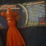 ヒメ日記 2025/09/10 22:41 投稿 ちゆ 奥様特急長岡店