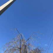 ヒメ日記 2024/12/12 10:36 投稿 せな 脱がされたい人妻 宇都宮店