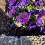 ヒメ日記 2025/02/15 10:38 投稿 せな 脱がされたい人妻 宇都宮店