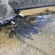 ヒメ日記 2025/02/17 10:48 投稿 せな 脱がされたい人妻 宇都宮店