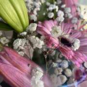 ヒメ日記 2025/02/20 11:44 投稿 せな 脱がされたい人妻 宇都宮店