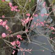 ヒメ日記 2025/03/12 10:36 投稿 せな 脱がされたい人妻 宇都宮店