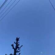 ヒメ日記 2025/03/17 10:35 投稿 せな 脱がされたい人妻 宇都宮店